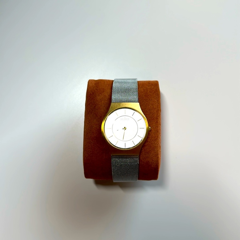 Skagen Men’s Stainless Steel Watch